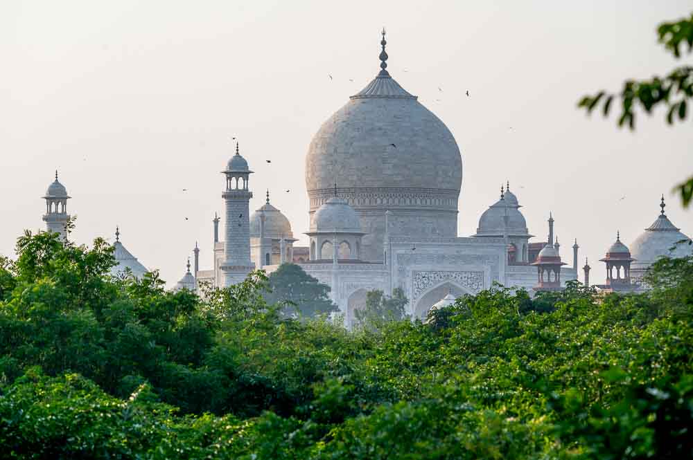 India, Part 2: Agra